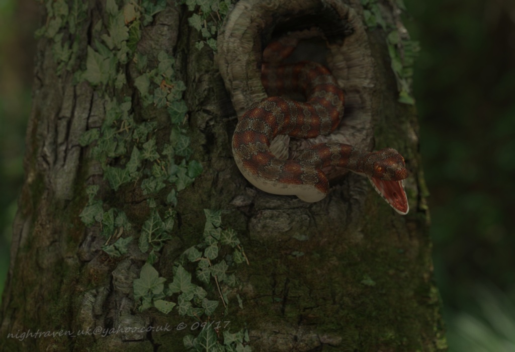 snake_in_a_tree.jpg