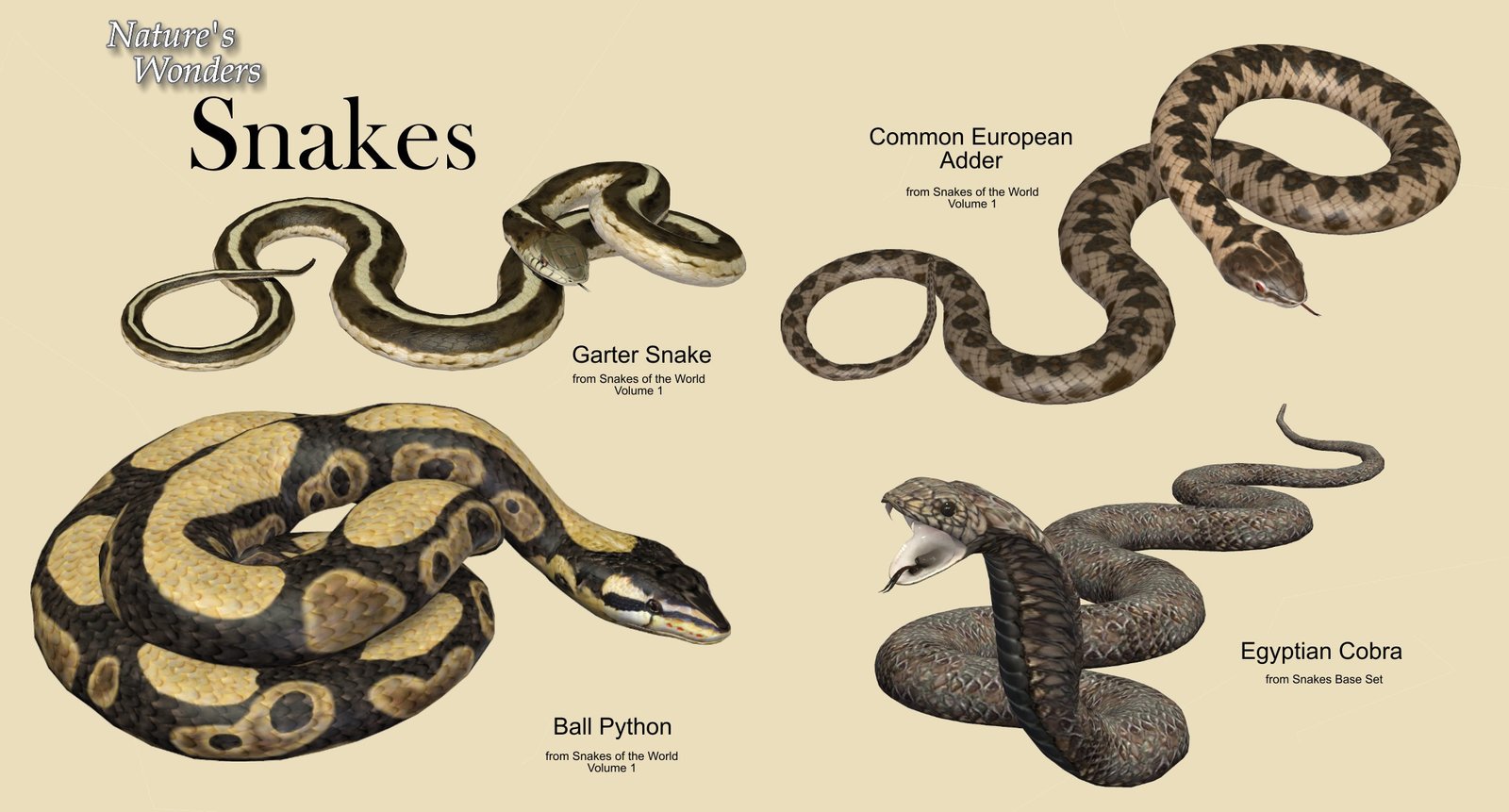 Snakes Teaser2.jpg