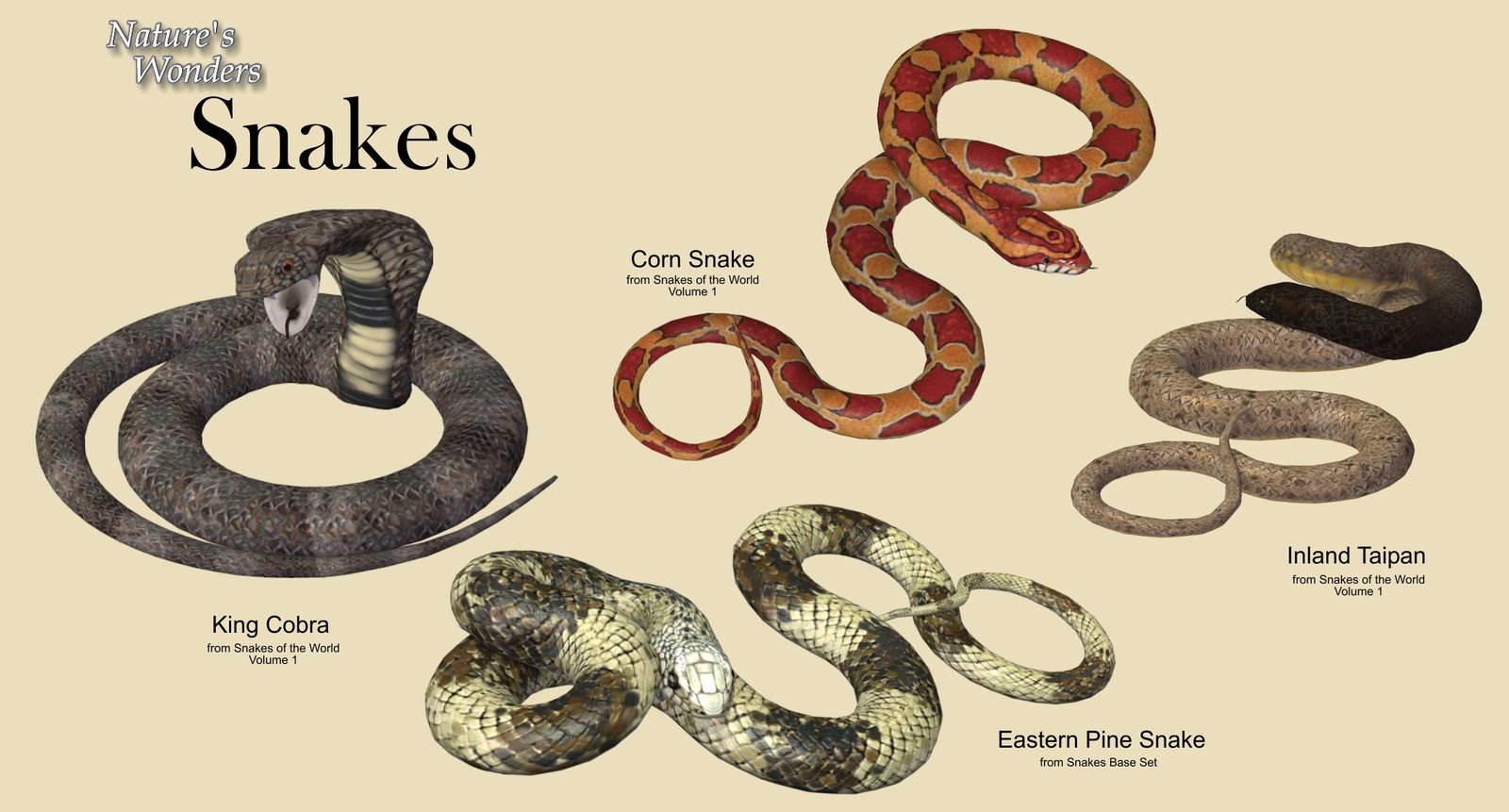 Snakes Teaser3.jpg