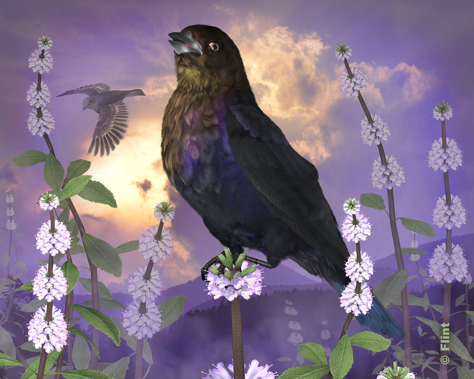 Softly In the Evenings Glow.jpg