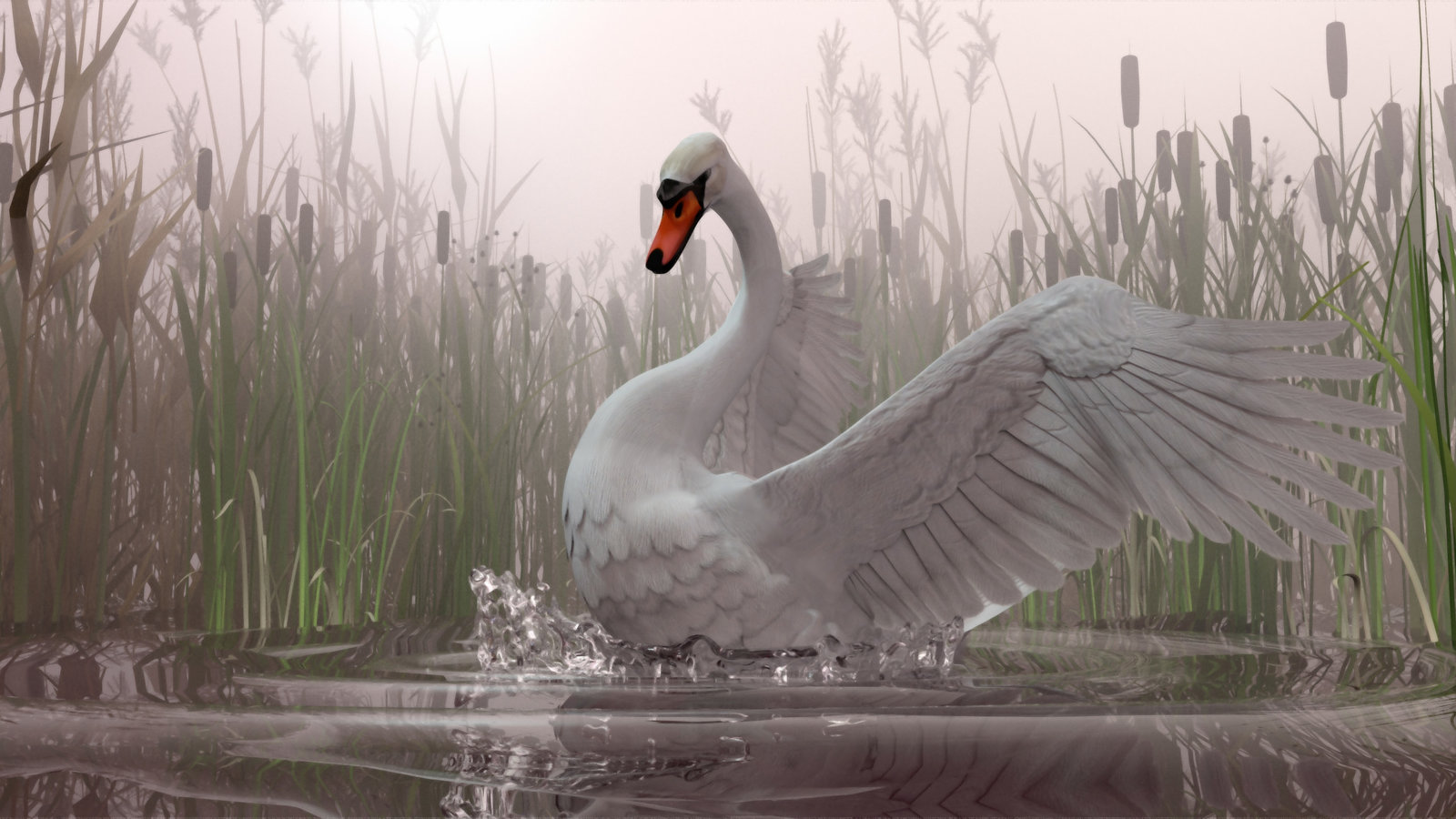 swan in the mist.jpg