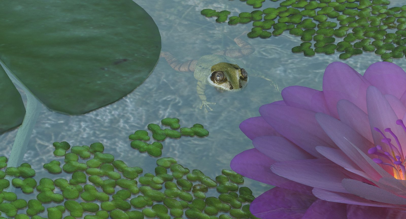 swimmingfrog.jpg