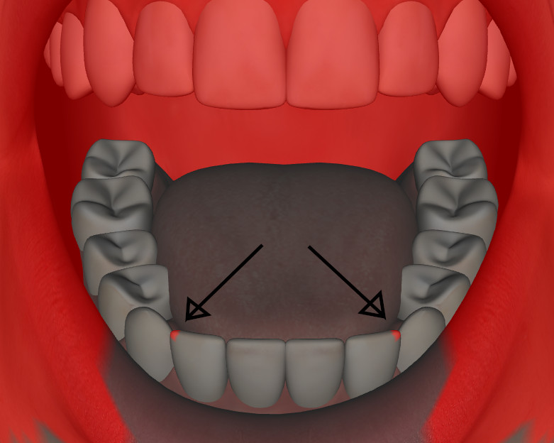 TeethWM.jpg