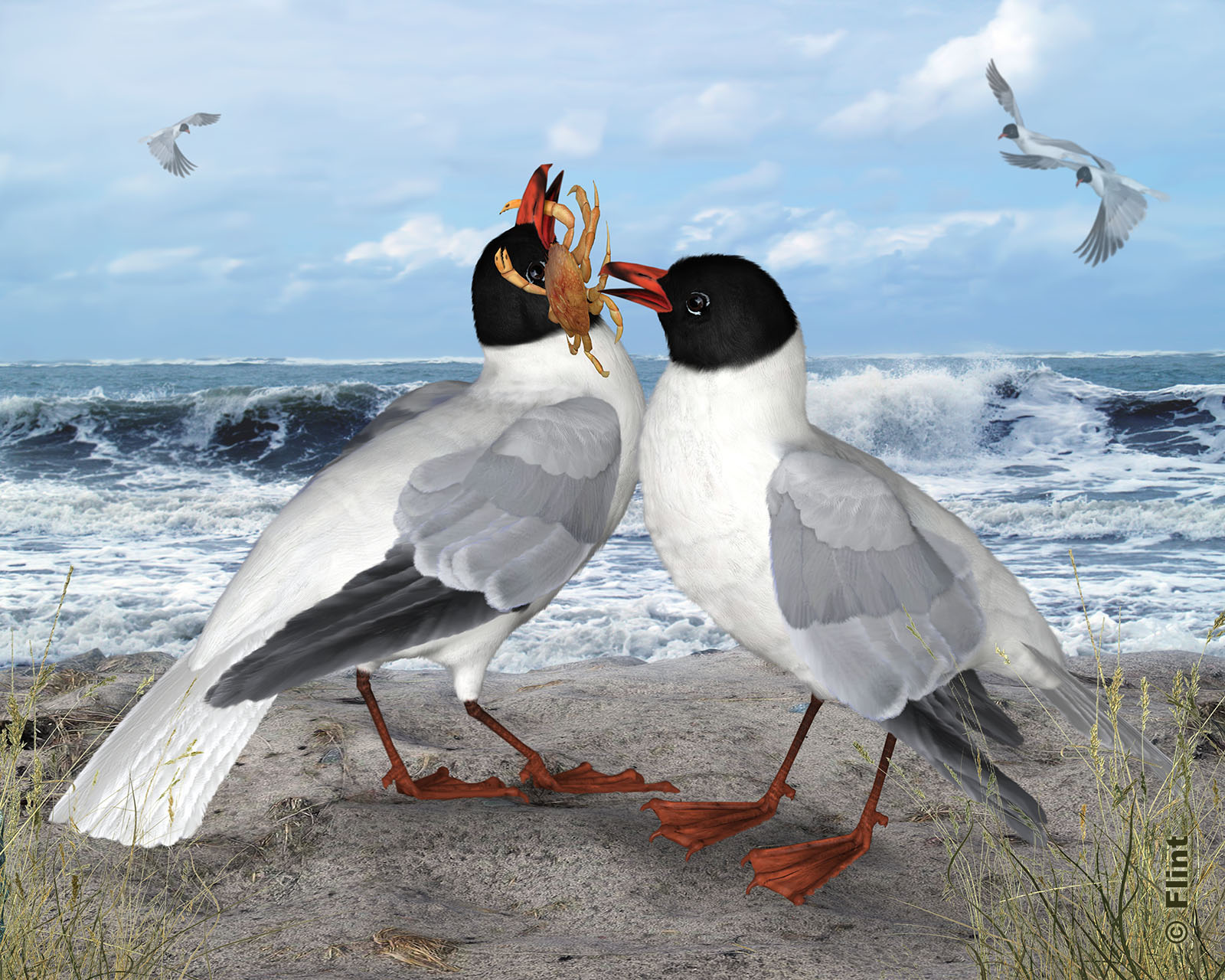 The Joy Of Sharing.jpg