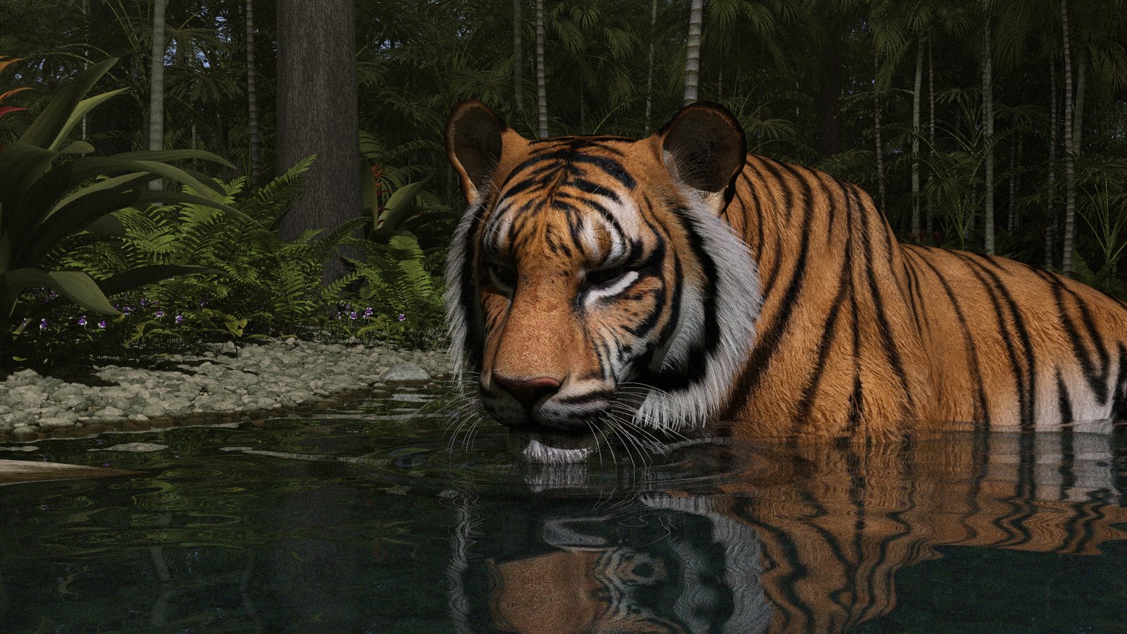 Tiger Cooling Off 02.jpg