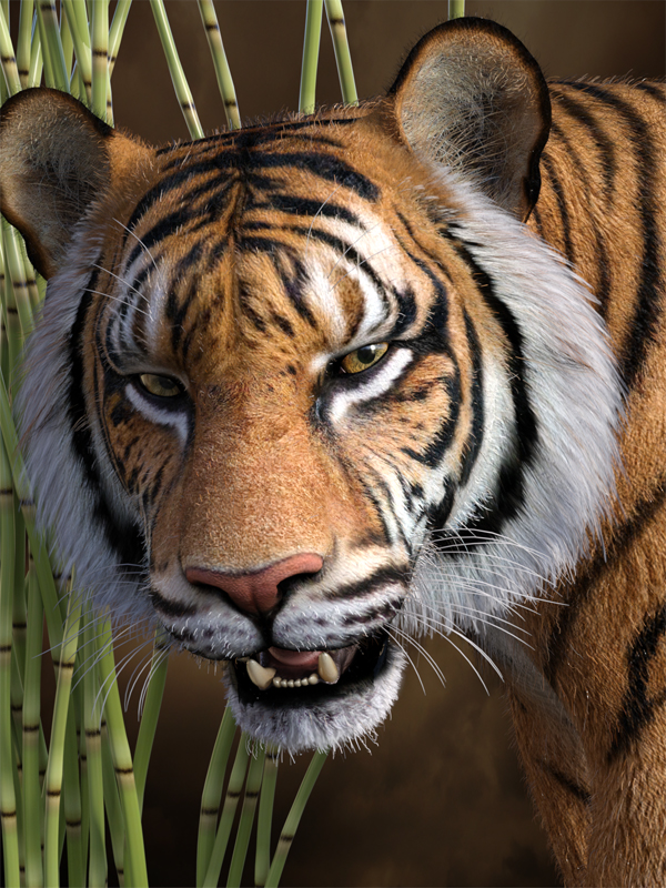 Tiger Eyes 101z.jpg