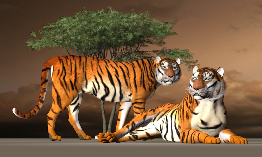 TIGER from CP-Rendo.jpg