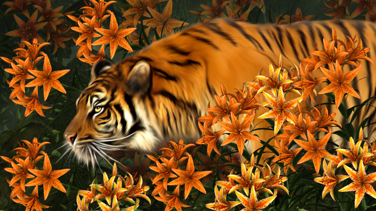 Tiger Lilies copy.jpg