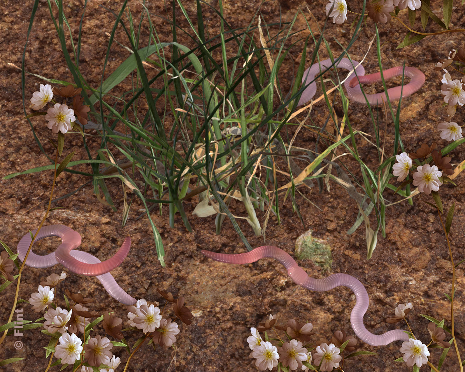 Tillers of the Earth.jpg