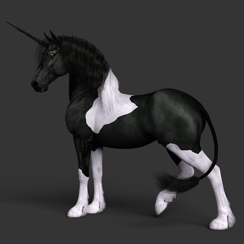 tobiano1small.png