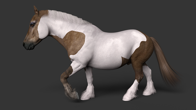tobiano3small.png