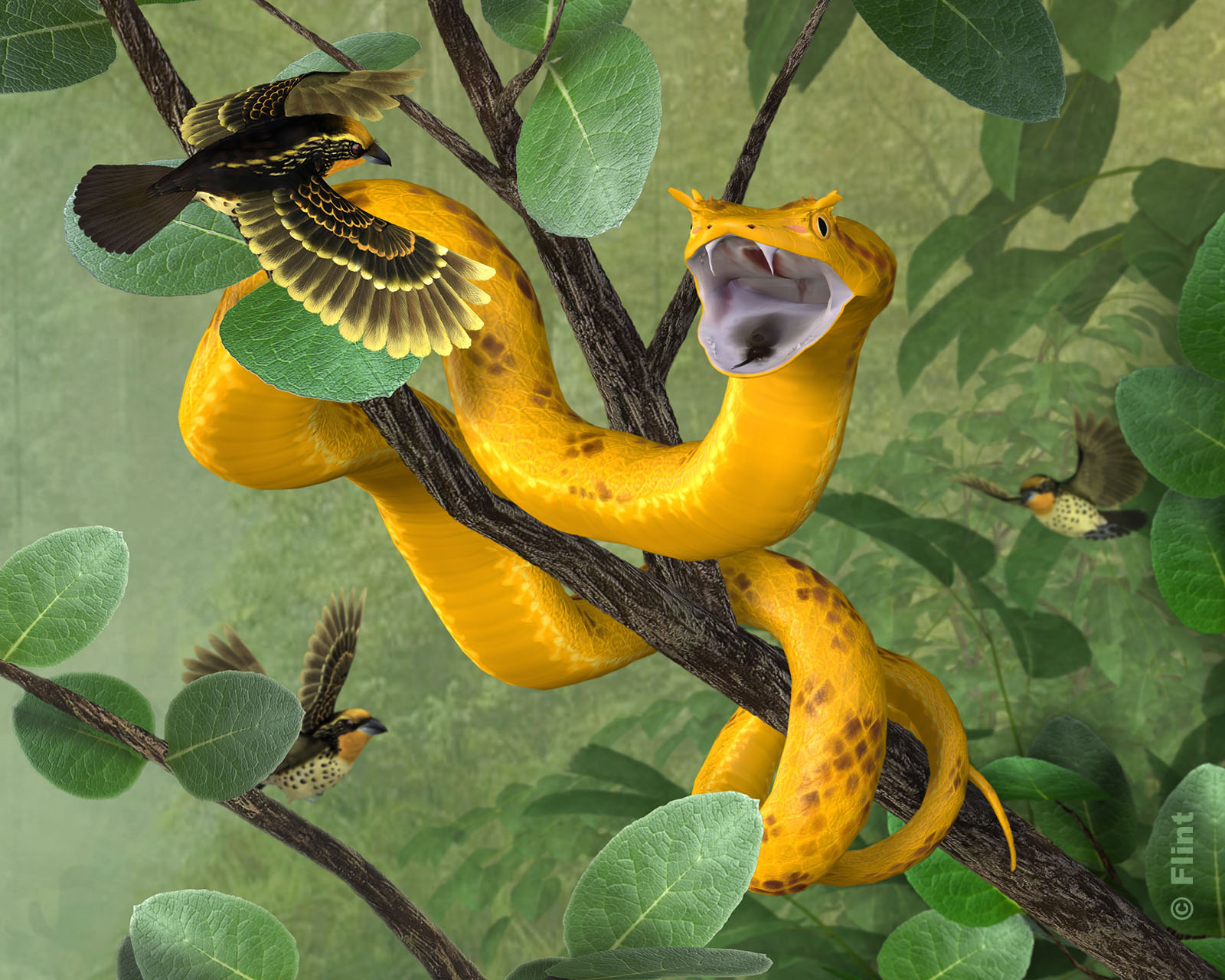 Tree Dweller.jpg