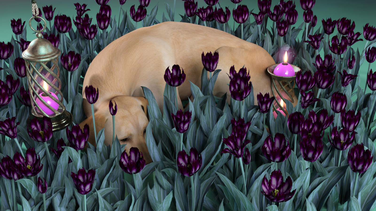 Tulips Dog.jpg