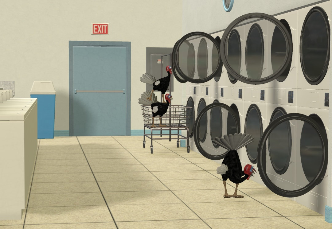 turkeys-laundromat.jpg