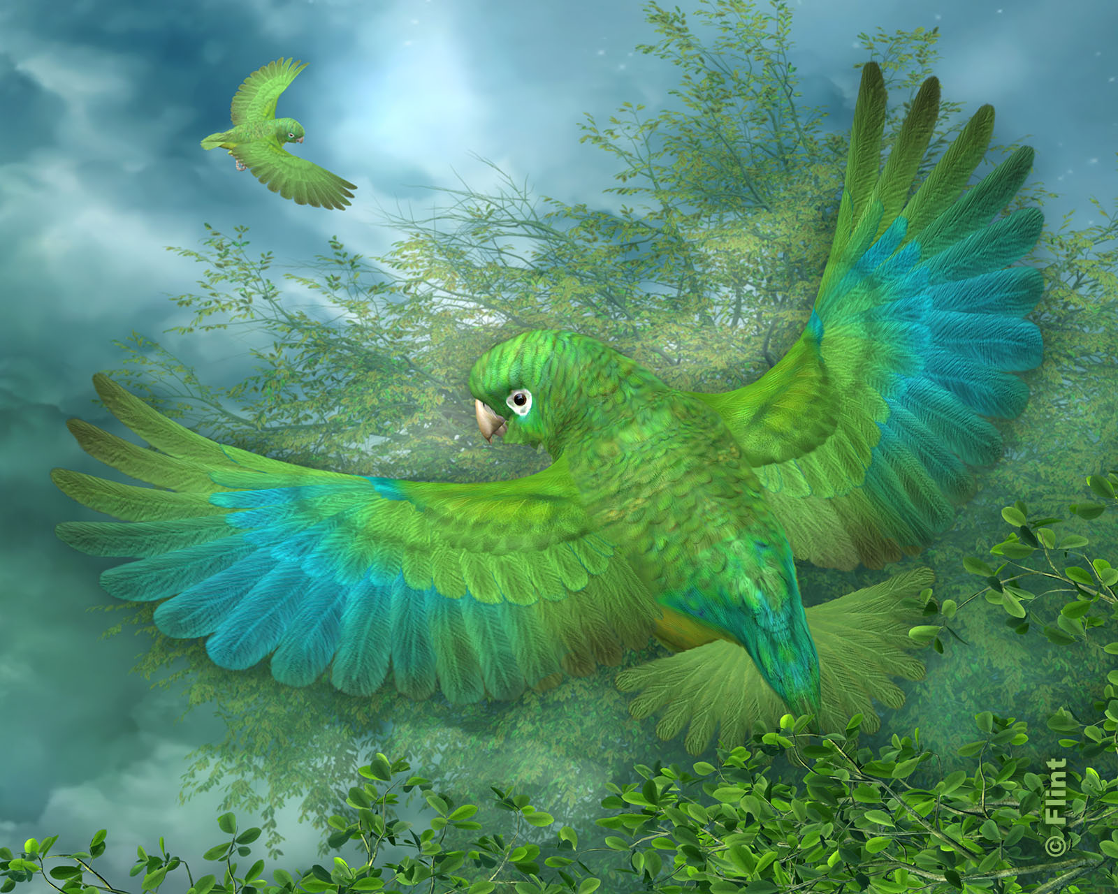 Turquoise Rising.jpg