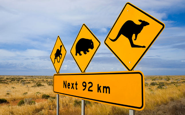 Uluru-animal-signs.jpg