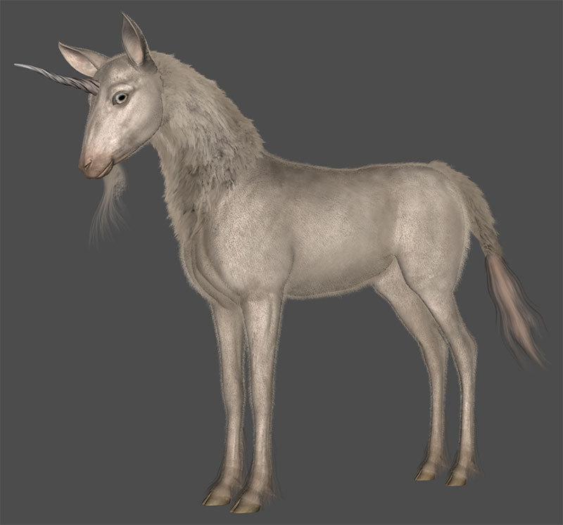 Unicorn-2.jpg