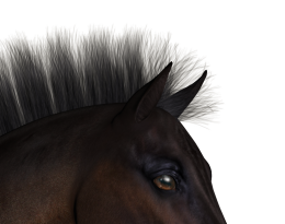 Upright ForelockH.png