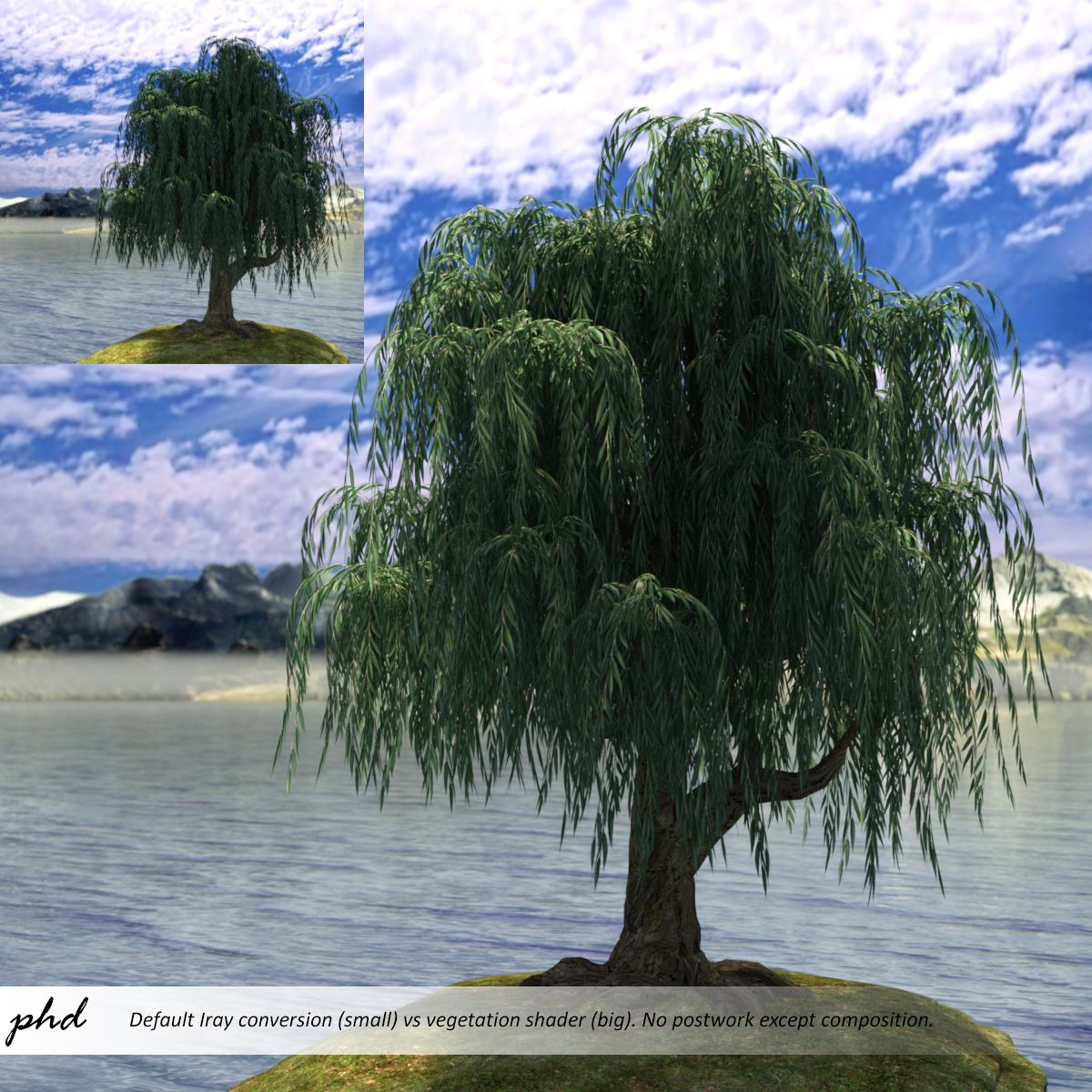 Willow on lakeside composition.jpg