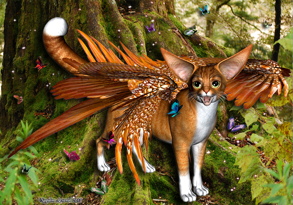 Winged Forest Catula.jpg