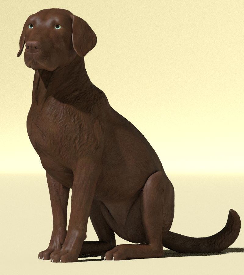 WIPChocolateLab.png