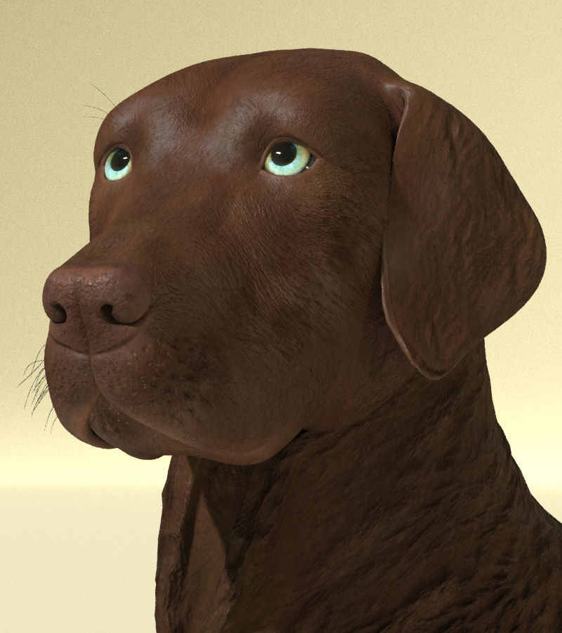 WIPChocolateLab02.jpg