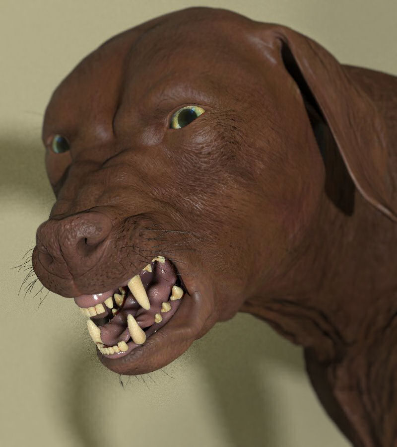 WIPChocolateLab03.jpg