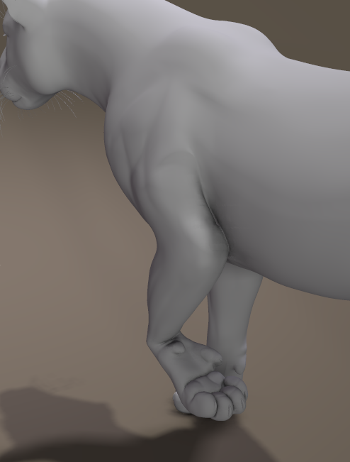 WIPFrontLeg_1.png