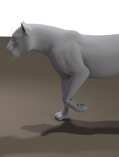 WIPFrontLeg_2.png