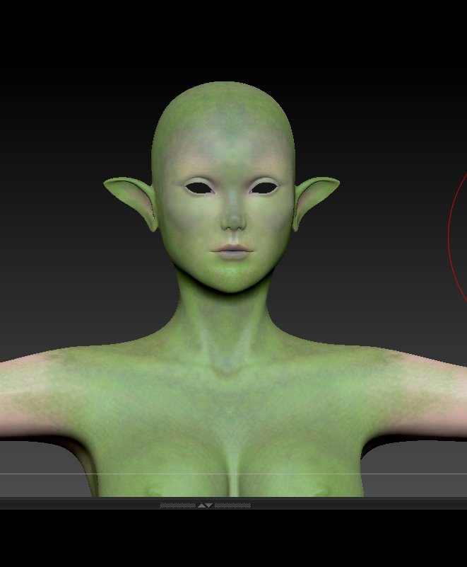 ZBRUSH VIEW copy.jpg