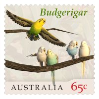 Stamp Budgerigar.jpg