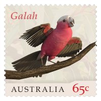 Stamp Galah.jpg