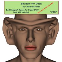 Big Ears for Dusk.jpg