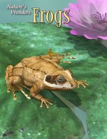 NW_Frogs_Cover.jpg
