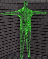 green wireframe Pro2014 FF.jpg