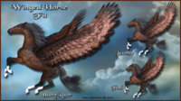 Winged Horse Fits copy.jpg