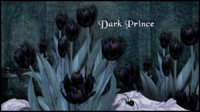 Dark Prince copy.jpg