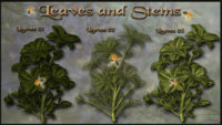 Leaves-and-Stems-copy.jpg