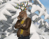 Christmas Muley - Copy.jpg