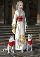 Kasumi and her foxes2.png