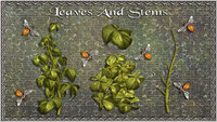 Leaves and Stems .jpg