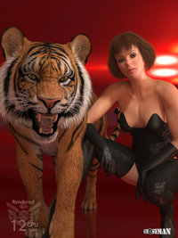 Tiger-Lily3.jpg