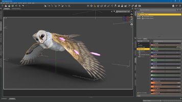 Owl Flight Pose in UI.jpg