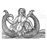 mermaid-myths.jpg
