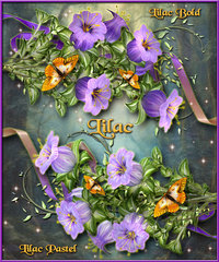 Lilac 9.jpg