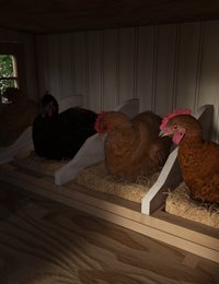 sbrm_ChickenCoop_Promo5.jpg
