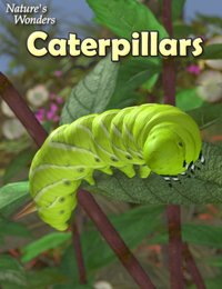 NW_Caterpillars_Main.jpg