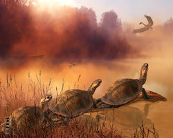 Waiting for the Morning Sun.jpg