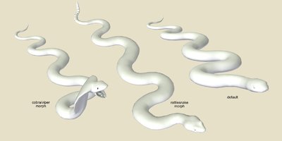 Snake.jpg