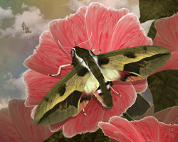 Floral Memories.jpg